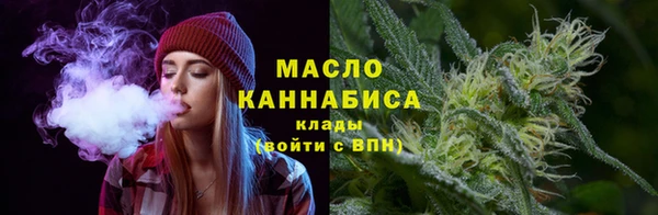 амф Гусь-Хрустальный