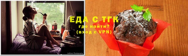 амф Гусь-Хрустальный