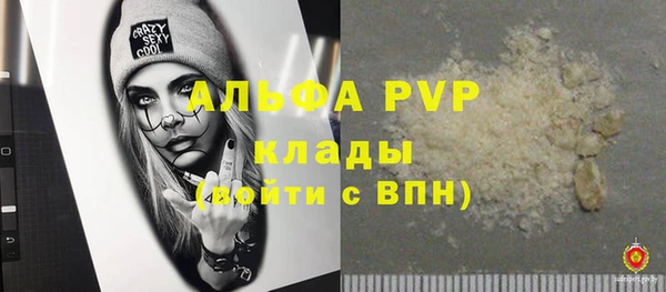 амф Гусь-Хрустальный