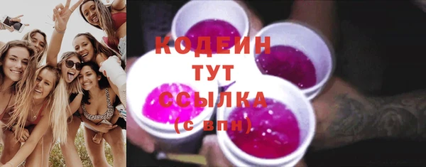 амф Гусь-Хрустальный