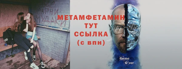 амф Гусь-Хрустальный