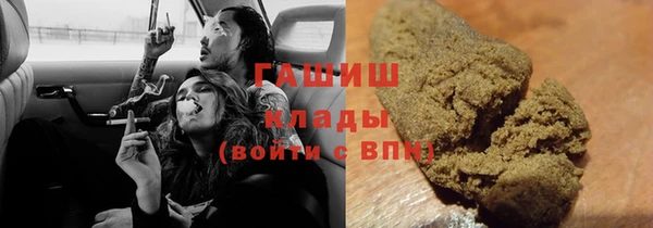 ГАЛЛЮЦИНОГЕННЫЕ ГРИБЫ Гусев