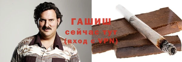 ГАЛЛЮЦИНОГЕННЫЕ ГРИБЫ Гусев