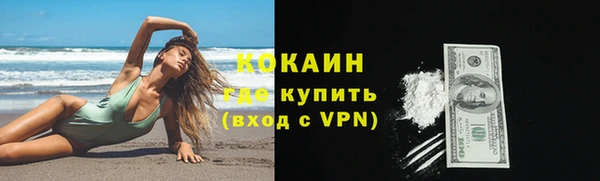 ГАЛЛЮЦИНОГЕННЫЕ ГРИБЫ Гусев