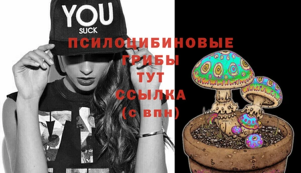 амф Гусь-Хрустальный