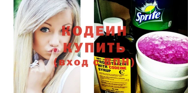 ГАЛЛЮЦИНОГЕННЫЕ ГРИБЫ Гусев