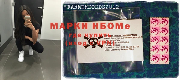 ГАЛЛЮЦИНОГЕННЫЕ ГРИБЫ Гусев