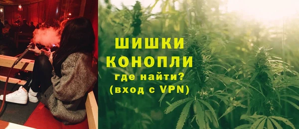 ГАЛЛЮЦИНОГЕННЫЕ ГРИБЫ Гусев
